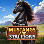 Mustang and Stallions